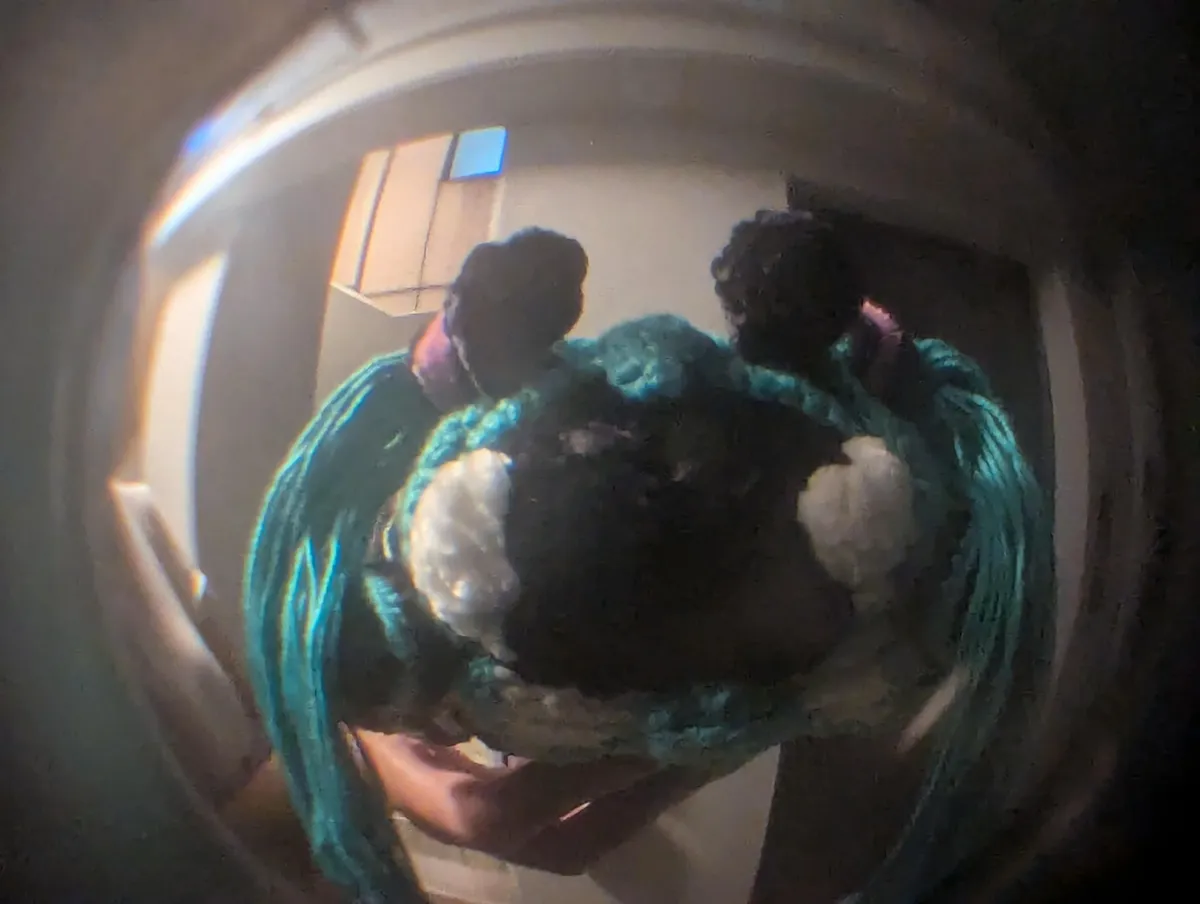 Hatsune Miku Tentomushi